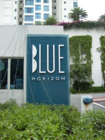 Blue Horizon #987862
